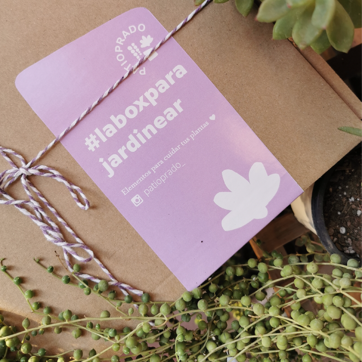 La box para jardinear