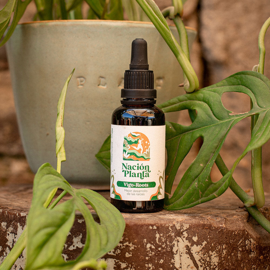 Vigo Roots - Bioestimulante natural 50cc.